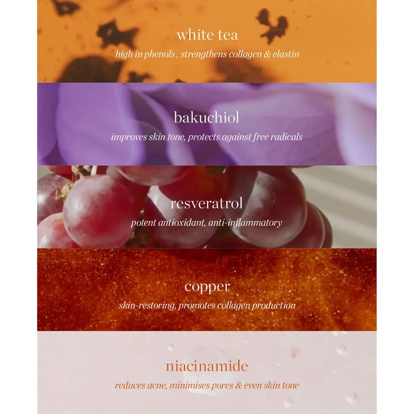 ERE PEREZ White tea phyto-retinol elixir