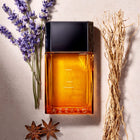 AZZARO POUR HOMME EDT 100ML – buy online
