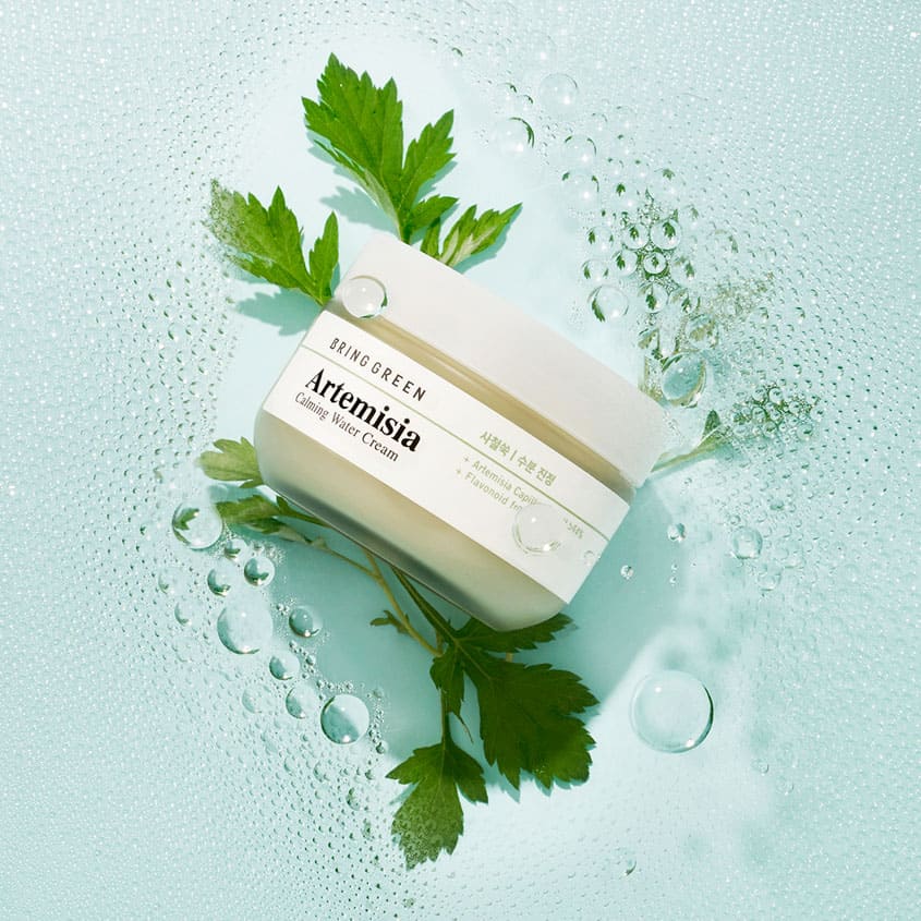 BRING GREEN ARTEMISIA CALMING WATER CREAM 75ML – buy online