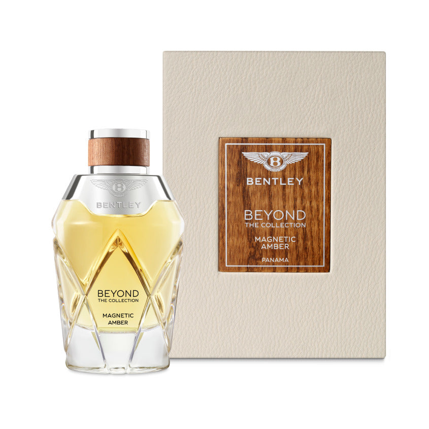 مجموعة الكهرمان المغناطيسي ما وراء المجموعة