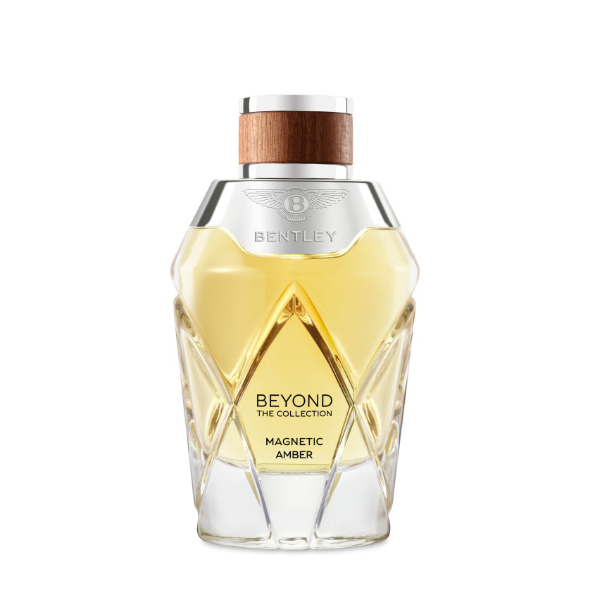 مجموعة الكهرمان المغناطيسي ما وراء المجموعة