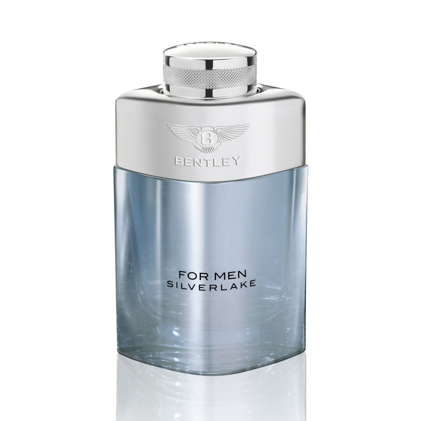 للرجال سيلفرليك