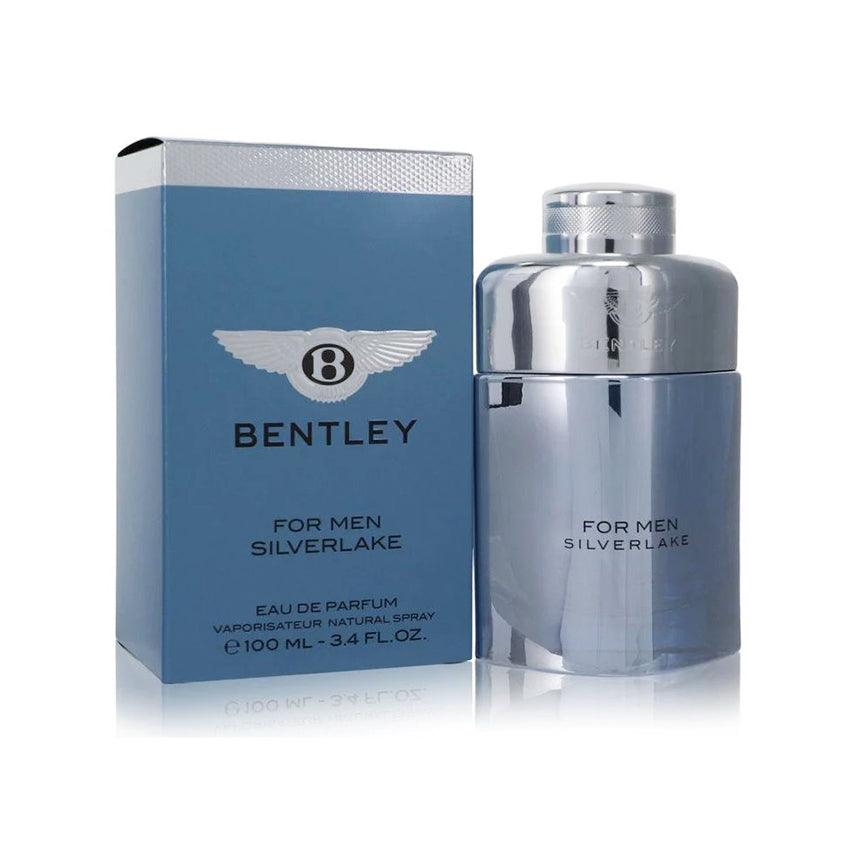 للرجال سيلفرليك