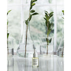 COMFORT ZONE SPECIALIST HAND OIL 15ML – buy online