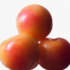 نشوة