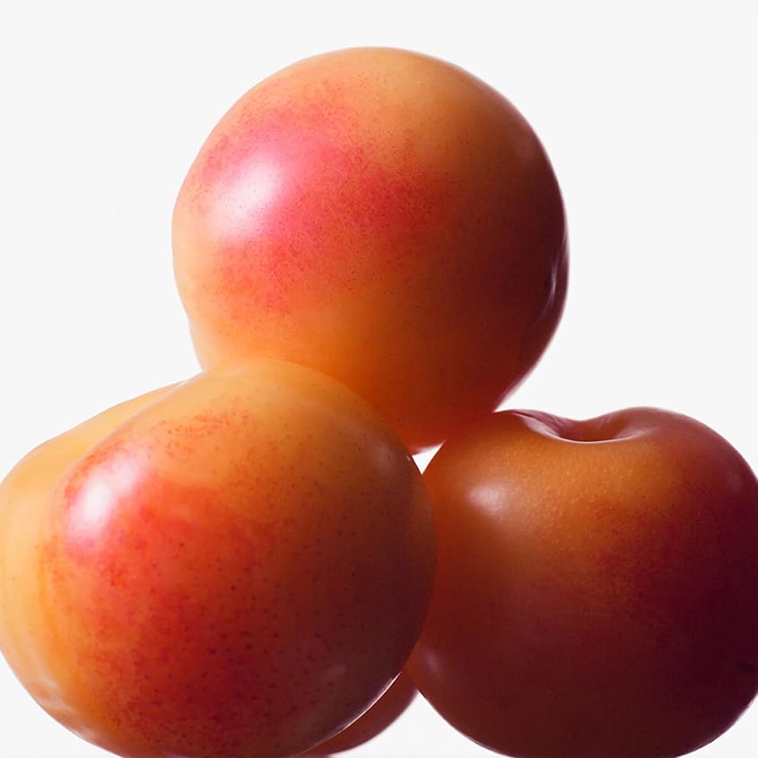 نشوة
