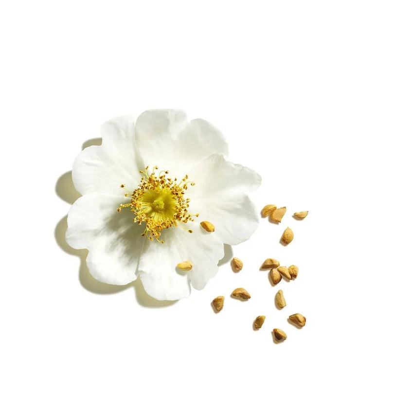 Lip Oil Balm