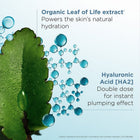 Hydra-Essentiel Cream-Mask