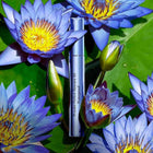 WONDER PERFECT MASCARA 4D WATERPROOF - 01 PERFECT BLACK