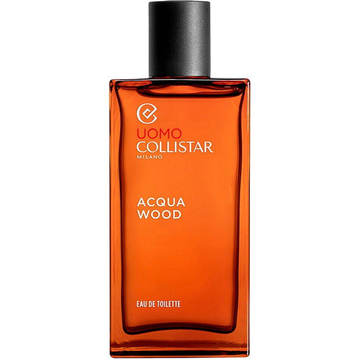 ACQUA WOOD EDT 100 ML
