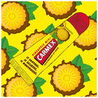 CARMEX كارميكس بلسم الشفاه أناناس ونعناع في أنبوب إس بي إف15، 10 جرام – شراء أونلاين