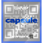 لوحة ظلال العيون B.Colour Pro Capsule