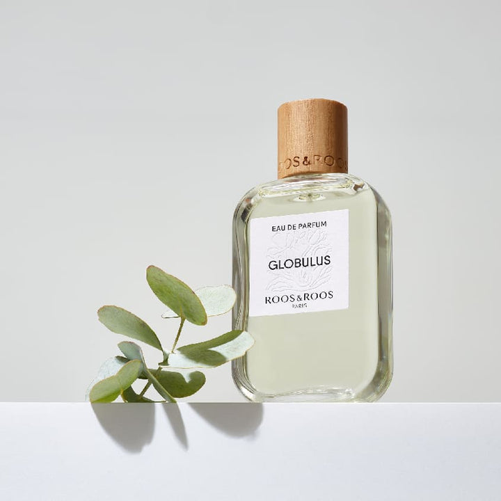 Globulus