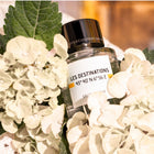 LES DESTINATIONS GRASSE EDP 50 ML – online store