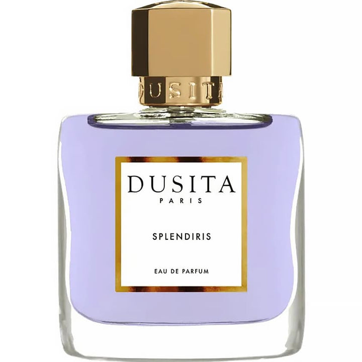 Unisex perfume – SPLENDIRIS EDP 100 ML