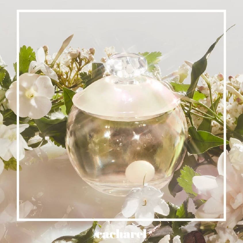 CACHAREL NOA EDT 50ML SPRAY – free delivery