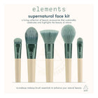 ECOTOOLS ET ELEMENTS COLLECTION - SUPERNATURAL FACE KIT (LIMITED EDITION) – photo 8