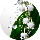 DAVIDOFF DAV CWW EDT 100ML SPRAY – photo 6