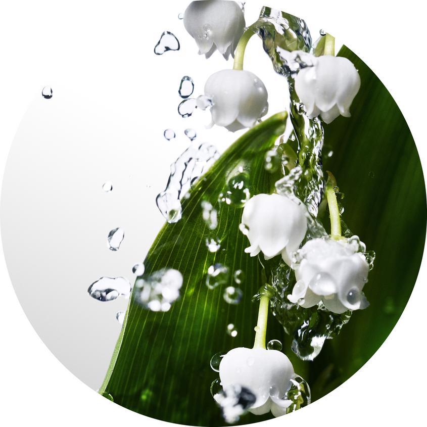 DAVIDOFF DAV CWW EDT 100ML SPRAY – photo 6