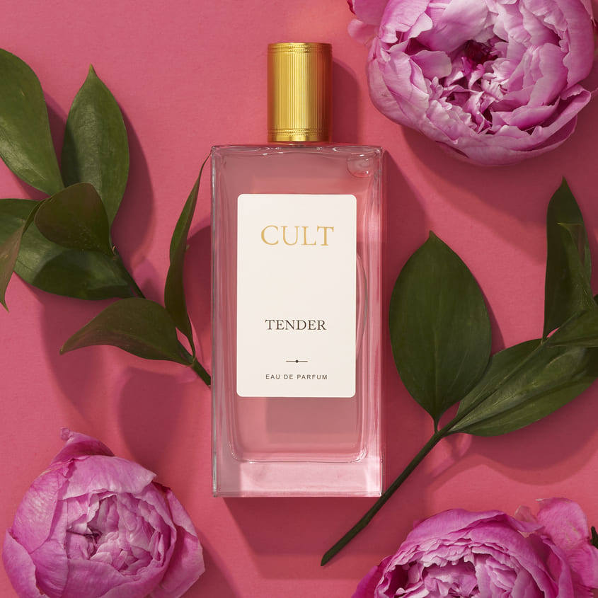 Eau de Parfum CULT Tender 100 ml – online store