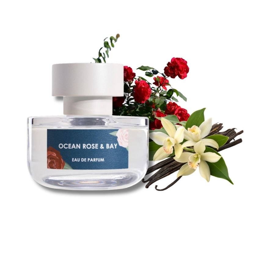 ELVIS+ELVIN OCEAN ROSE & BAY EDP 48ML – buy online