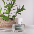 ELVIS+ELVIN BAMBOO FLOWER EDP 48ML – online store