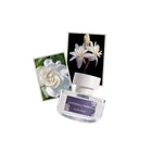 ELVIS+ELVIN GARDENIA & TUBEROSE EDP 48ML – buy online