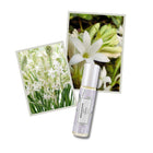 ELVIS+ELVIN TUBEROSE PERFUME OIL 15ML – online store
