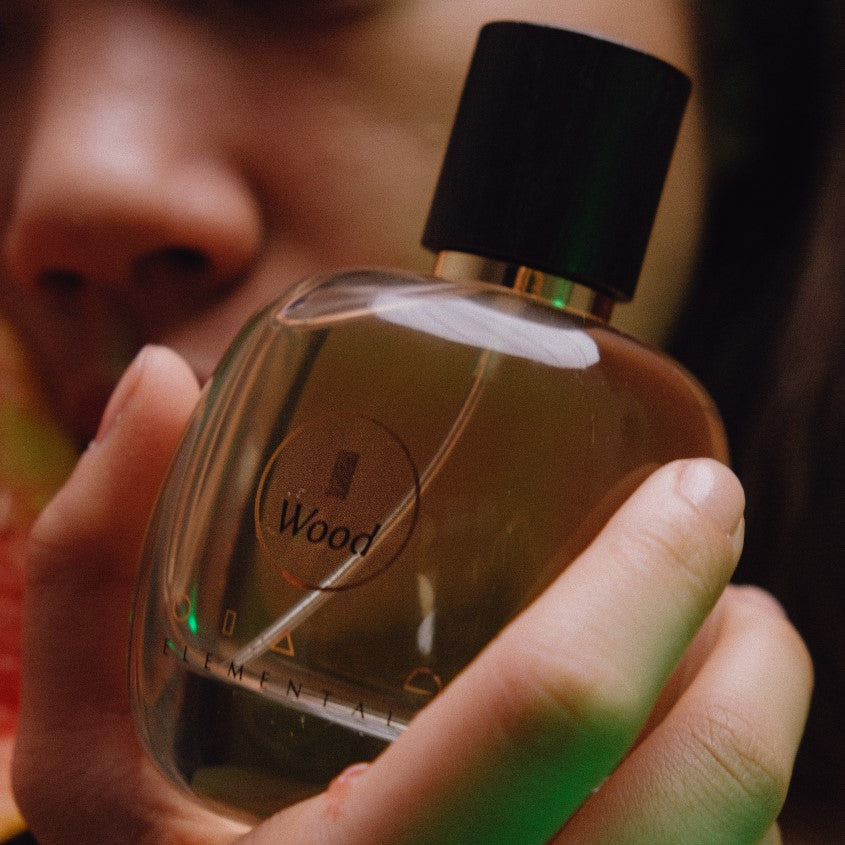 ELEMENTALS WOOD EDP 100 ML – online store