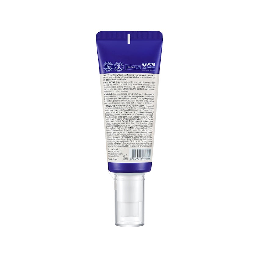 FOOD STORY BLUEBERRY REVITALIZING MOISTURIZER 70G – buy online