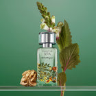 FERRAGAMO FORESTE DI SETA 100ML – buy online
