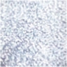 03 Silvery Glow, 6.5 ml
