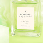 FLANDERS EDT 50 ML