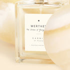 WERTHER EDT 50 ML