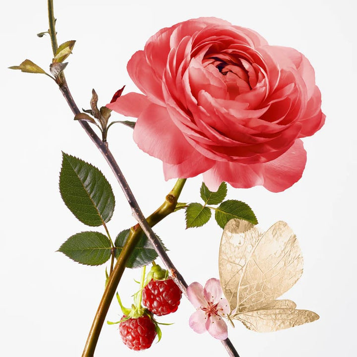 Rose Pompon Hand Balm