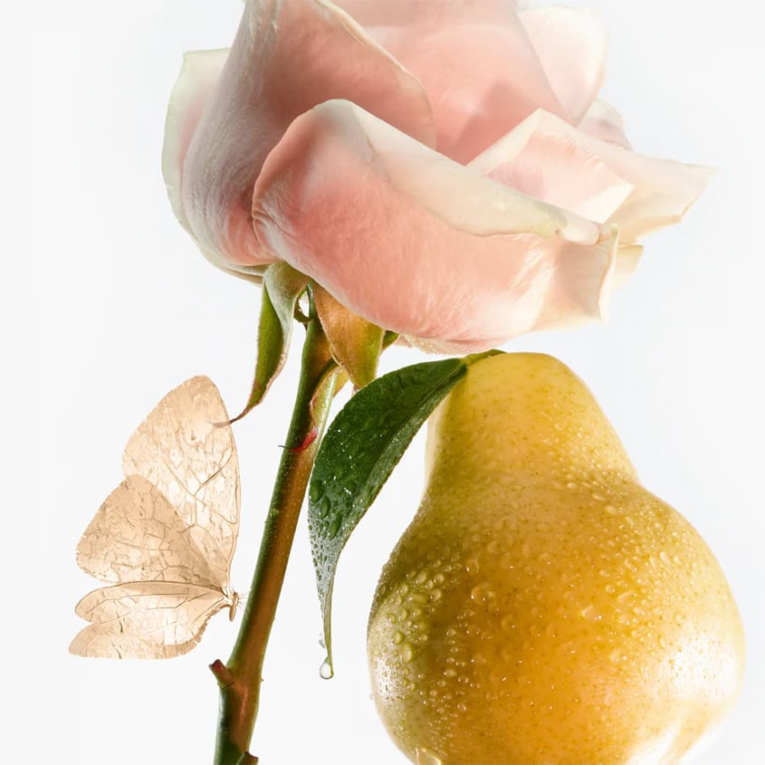 زيت الاستحمام بيتيت شيري