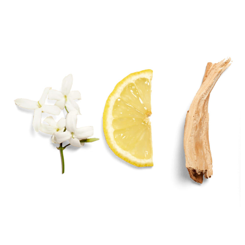 HEJ:PURE PURE LEMON EDP NS 50 ML – online store