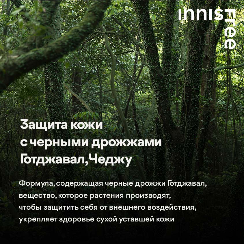 Forest For Men Anti-Aging All-In-One Essence
