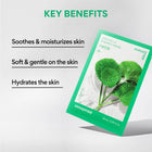 INNISFREE قناع الطاقة سنتيلا – صورة 6