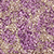 103 Purple Rain 1.2 g