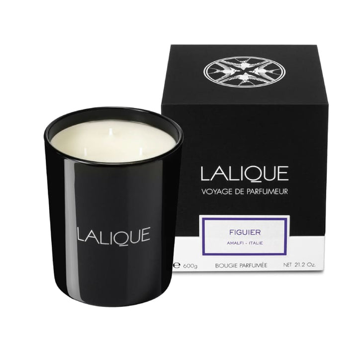 Scented Candle Figuier