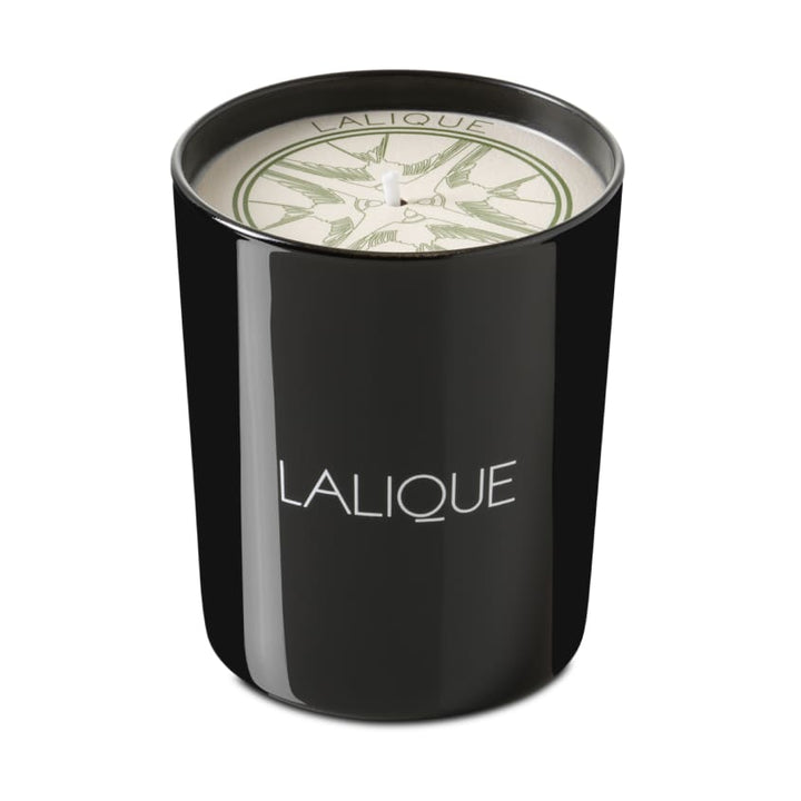 Scented Candle Vetiver
