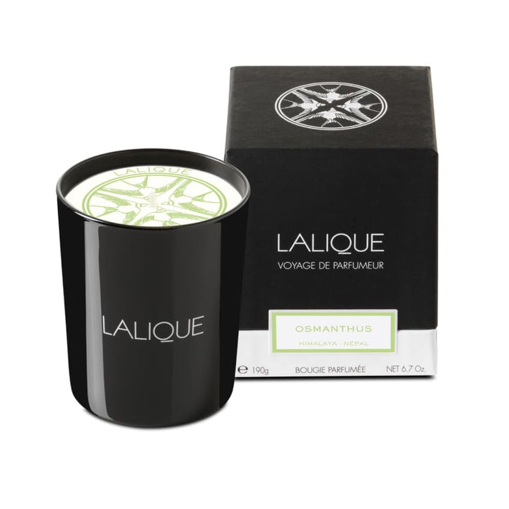 Scented Candle Osmanthus