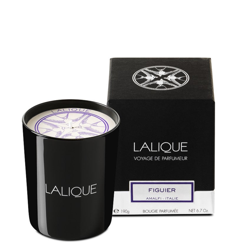 Scented Candle Figuier
