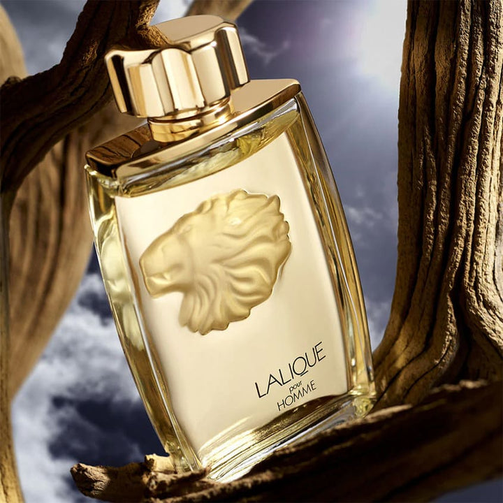 Pour Homme Lion