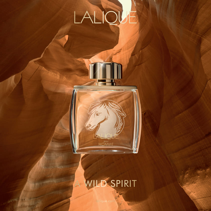 LALIQUE POUR HOMME EQUUS EDP 75ML SPRAY – buy online