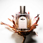 HAY WOOD ANDONG EDT 50ML