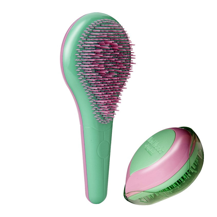 MICHEL MERCIER GREEN PASTEL SET (HOME & TRAVEL DETANGLER REGULAR HAIR)