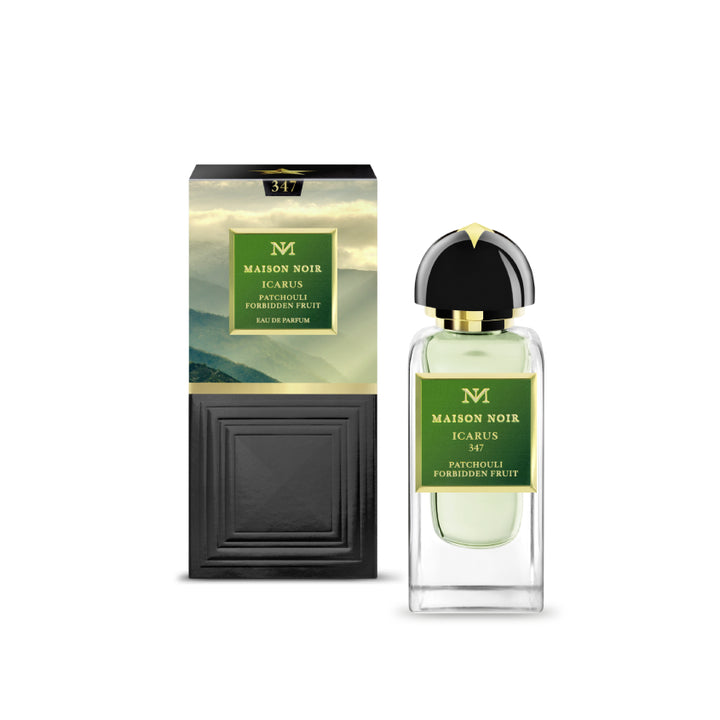 Unisex perfume ICARUS 347 EDP 50ML