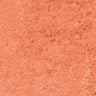 40 Delicate Apricot